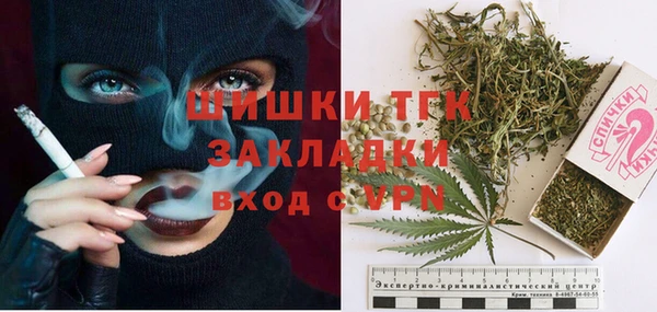 тгк Алексин