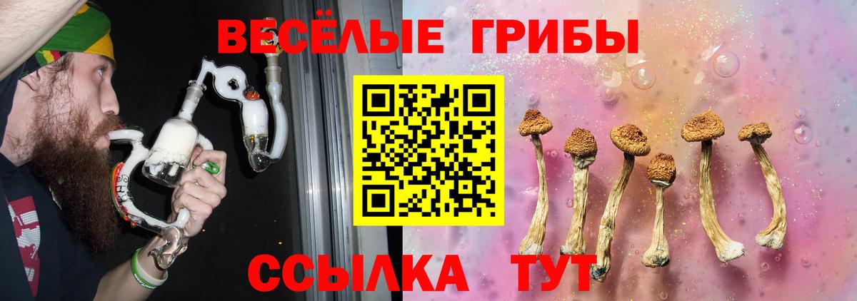 Псилоцибиновые грибы мухоморы  Вход с VPN  Камышлов  Псилоцибиновые грибы GOLDEN TEACHER 